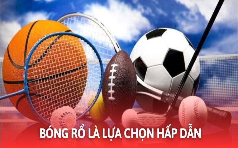 Bóng rổ là lựa chọn mới mẻ cần quan tâm