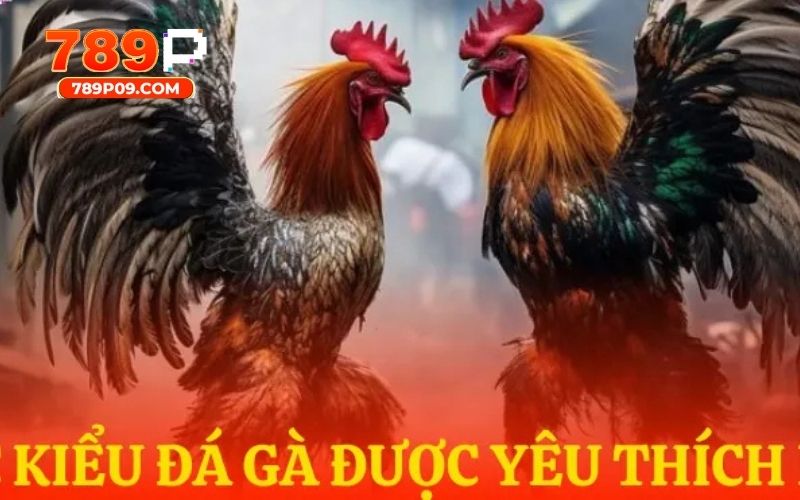 Kiểm tra lịch sử trận cược tại hệ thống đơn giản