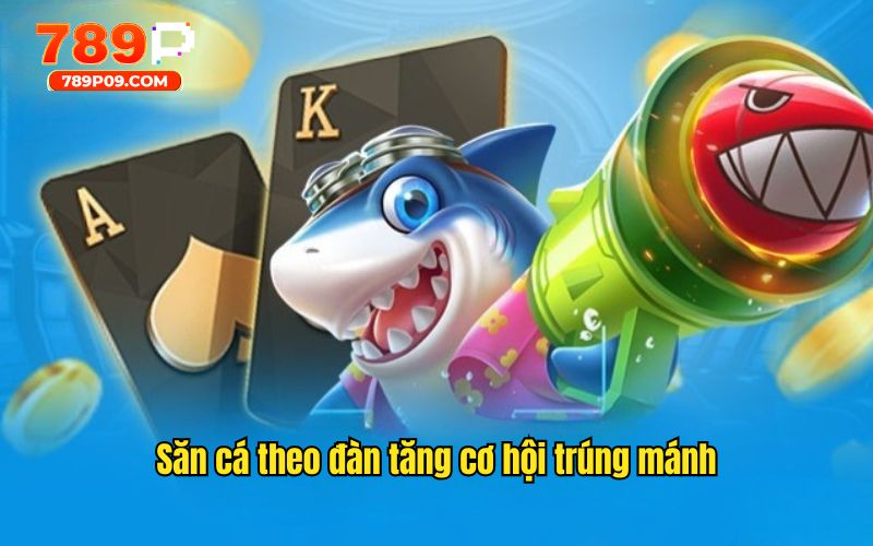 Săn cá theo đàn tăng cơ hội trúng mánh