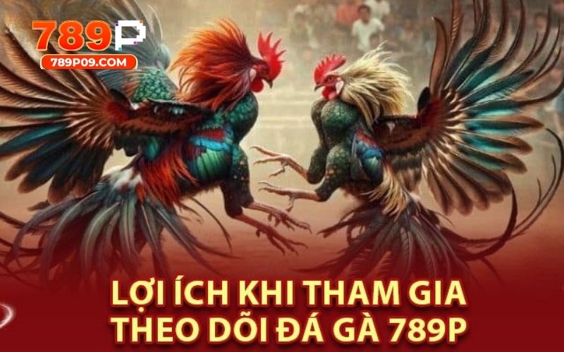 Xem những trận live thật mãn nhãn cùng đấu trường 789P