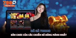 Đá Gà Thomo - Sân Chơi Của Các Chiến Kê Dũng Mãnh Nhất